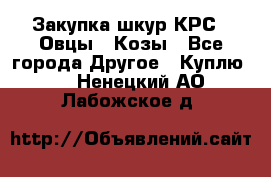 Закупка шкур КРС , Овцы , Козы - Все города Другое » Куплю   . Ненецкий АО,Лабожское д.